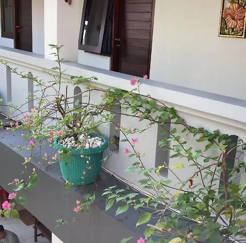 Accommodatie bij particulieren Rumahku Bali Executive Kuta Lombok